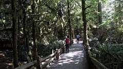 120: ca-2017-120 Mac Millan Park ca-2017-120