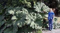 153: ca-2017-153 Natur ca-2017-153