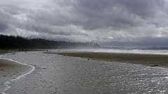 160: ca-2017-160 Am Strand ca-2017-160