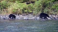 174: ca-2017-174 An der anderen Flussseite ca-2017-174