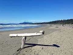 188: ca-2017-188 Kunst am Strand ca-2017-188