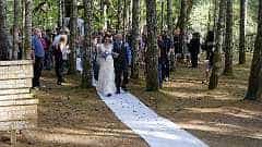 213: ca-2017-213 Wald-Hochzeit ca-2017-213