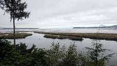 239: ca-2017-239 Letzter Campground auf Vancouver Island ca-2017-239